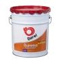Pintura Berel Summa Alquidálico Interior/Exterior 19L Base Deep Brillante