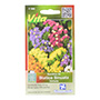 SEMILLAS DE STATICE SINUATA VARIADA 0.5 GR MULTICOLOR VÍTA