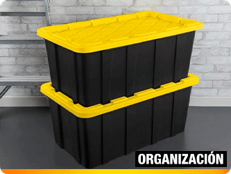 Organización