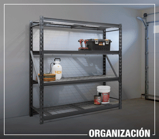 Organización
