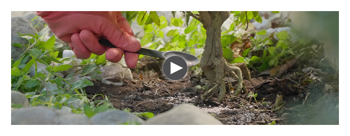 Combina abono y fertilizante