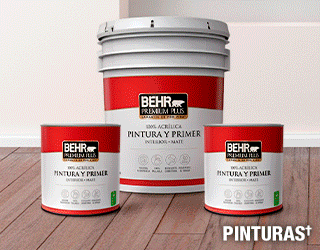 Pinturas†