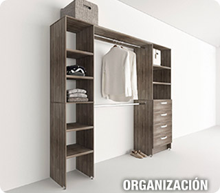 Organización